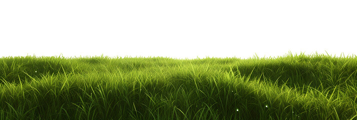 green grass meadow outdoor 3d-illustration - obrazy, fototapety, plakaty