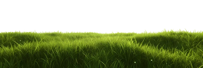 Tuinposter Weide green grass meadow outdoor 3d-illustration