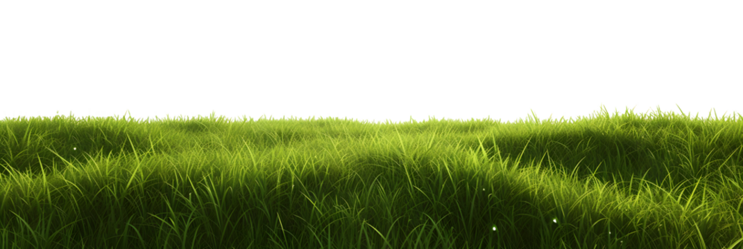 green grass meadow outdoor 3d-illustration