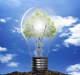 light bulb