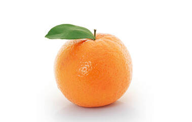 Orange  on white background