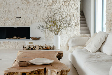 Minimalist living room interior with rustic wooden table and modern sofa. Home design and decor.