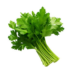 parsley isolated on a white background with clipping path.