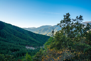 Green covered Mountains