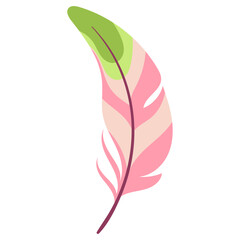 feather illustration with beautiful vector pattern