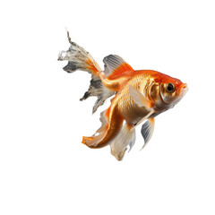 Leaping Fish Transparent PNG: Aquatic Elegance in Motion for Dynamic Design Use