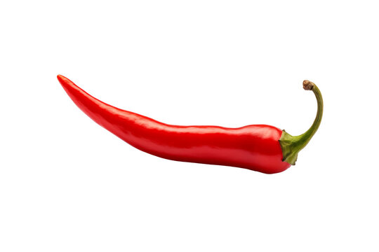 Spicy Red Chili Pepper Isolated on Transparent Background - High Resolution PNG Image