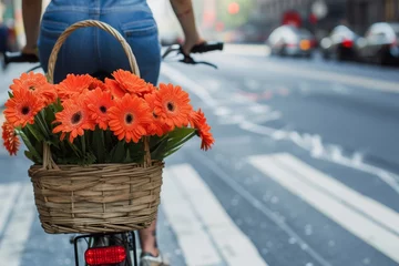 Poster Im Rahmen cyclist with a basket of gerberas on a city bike lane © primopiano