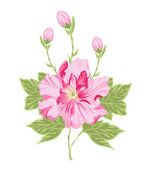 Vector illustration of pink rose with green leaves