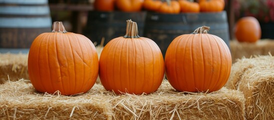 3 pumpkins displayed on hay bales at a local market