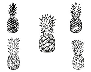 Pineapple Sketch Vector illustration On White Background - obrazy, fototapety, plakaty