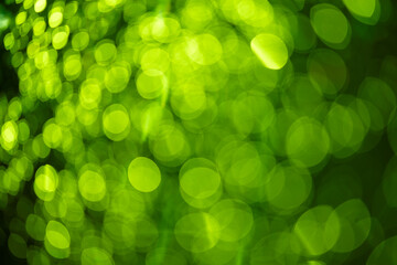 green blur background, holiday texture