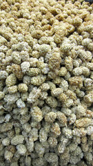 Dried mulberries in the delicatessen section