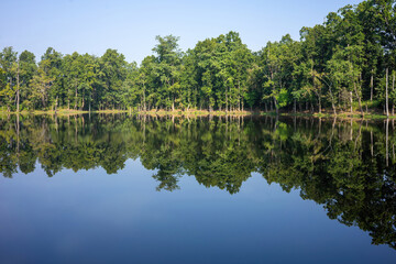 Fototapeta na wymiar Still waters of a serene pond in Chitwan National Park reflect the lush greenery of the surrounding forest, creating a stunning symmetrical view.