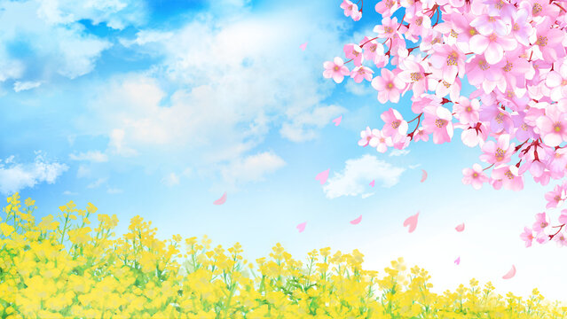 桜と菜の花　背景素材　水彩画　飾り枠　桜吹雪　野原　春イメージ　春の花　お花見　入学　卒業　入園　卒園　入社　新学期　新生活　16:9