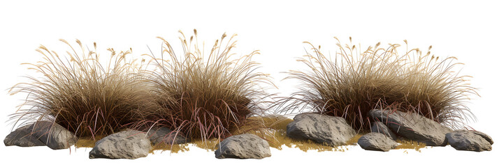Isolate savanna dry grass meadow shrubs with rocks on transparent backgrounds 3d render png