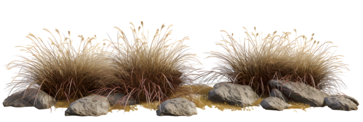 Isolate savanna dry grass meadow shrubs with rocks on transparent backgrounds 3d render png
