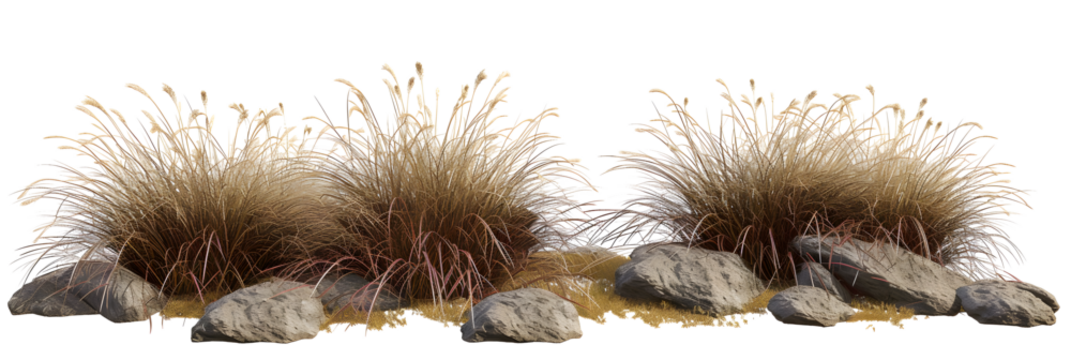 Isolate savanna dry grass meadow shrubs with rocks on transparent backgrounds 3d render png