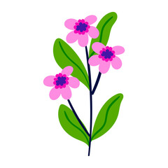 Fototapeta na wymiar vector flower object illustration