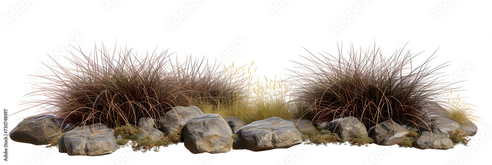 Wall mural isolate savanna dry grass meadow shrubs with rocks on transparent backgrounds 3d render png