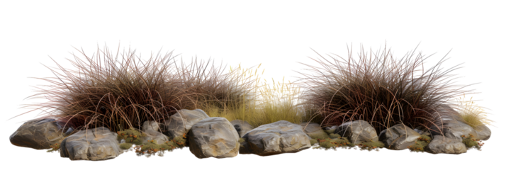 Isolate savanna dry grass meadow shrubs with rocks on transparent backgrounds 3d render png