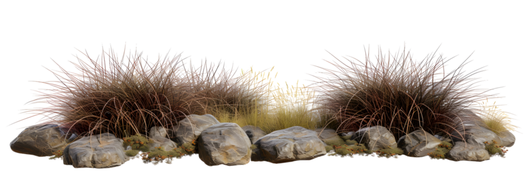 Isolate savanna dry grass meadow shrubs with rocks on transparent backgrounds 3d render png