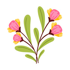 vector flower object illustration