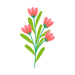 vector flower object illustration