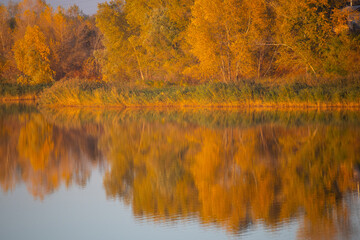 glare and reflections on the water. the sky is reflected in the water. Background of waves, reflections, refractions and abstract diffractions, in the blue, clean and crystalline water. trees are refl
