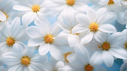 White flowers with smooth petals in a colorful decoration flower bouquet close up still, generative ai,
