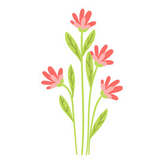 vector flower object illustration