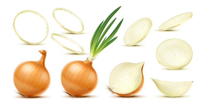 Isolated realistic yellow raw onion, slice and ring, whole and half vegetable 3d vector set. Full and chopped plants, full bulb with long green shoots, segment and circular parts on white background