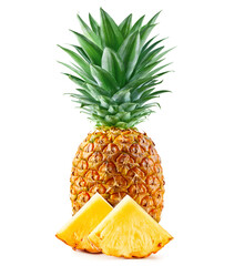 Pineapple fruit with leaf isolate
