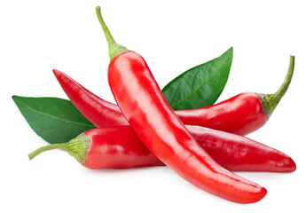 Fresh organic red chili isolated