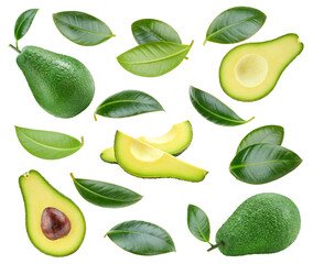Avocado collection with leaves