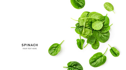 Fresh spinach leaves pile top view isolated on white background.