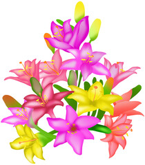 Bouquet of colorful lilies