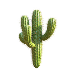 Naklejka premium cactus png