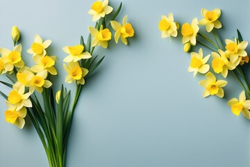 Bright Yellow Daffodils Against Blue