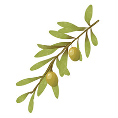Obraz premium Vector illustration with olives. A branch with green olives and leaves
