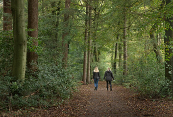 Walking in the forest. Two women going for a stroll at Roden Drente Mensinge Estate Netherlands....