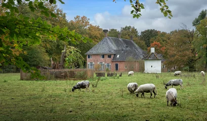 Foto auf Leinwand Estate with stone dovecote  at Roden Drente Mensinge Estate Netherlands. Landgoed Mensinge. Autumn. Fall Colors.Sheep grazing. © A