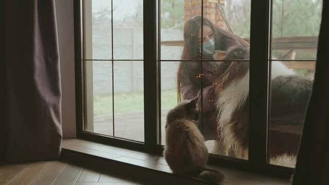 young happy woman playing having fun with her dog purebred collie black fluffy fur, girl stroking pet's muzle, playing outside in yard, window view of house. Siamese cat looks jealous of owner's love