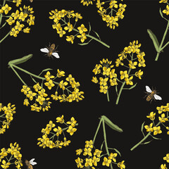 Seamless pattern with bees pollinating rapeseed