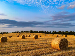 Bales of straw on a stubble field at sunset near Bad Soden, Taunus, Germany. - obrazy, fototapety, plakaty