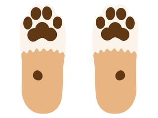 柴犬の肉球