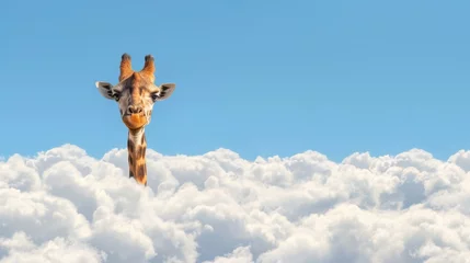 Gordijnen Whimsical Giraffe Peeking Through Clouds © romanets_v