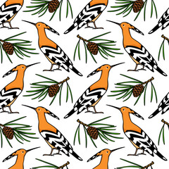 Vector seamless pattern with hand drawn cute Hoopoes with pine twigs. Beautiful animal design elements, ink drawing. Perfect for prints and patterns
