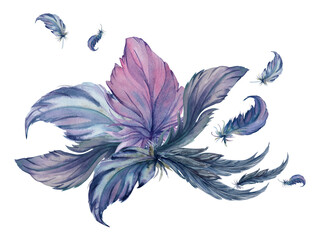 Hand drawn watercolor bird feather plume quill boho tribal ethnic indian blue. Composition isolated on white background. Design for charm, amulet, dreamcatcher, scrapbooking, handmade craft, tattoo