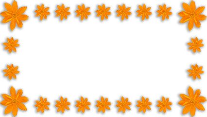 frame of orange flower, isolated on transparent background